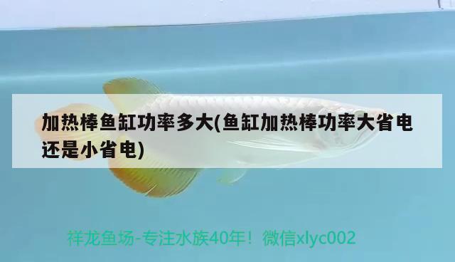 加熱棒魚缸功率多大(魚缸加熱棒功率大省電還是小省電)