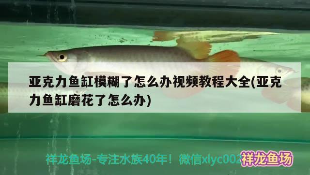 亞克力魚缸模糊了怎么辦視頻教程大全(亞克力魚缸磨花了怎么辦)