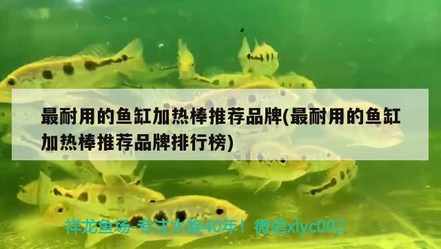 最耐用的魚缸加熱棒推薦品牌(最耐用的魚缸加熱棒推薦品牌排行榜)