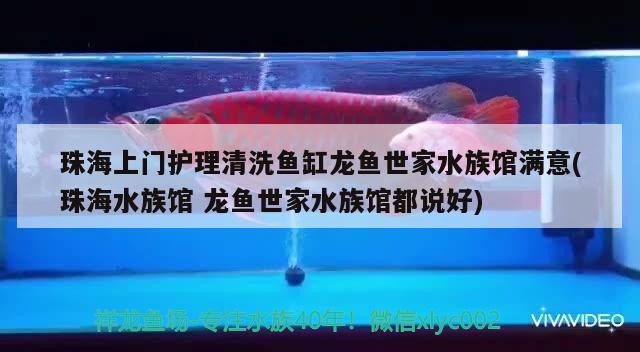 珠海上門護(hù)理清洗魚缸龍魚世家水族館滿意(珠海水族館龍魚世家水族館都說好)