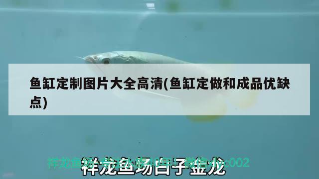 魚缸定制圖片大全高清(魚缸定做和成品優(yōu)缺點(diǎn))