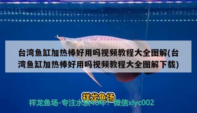 臺灣魚缸加熱棒好用嗎視頻教程大全圖解(臺灣魚缸加熱棒好用嗎視頻教程大全圖解下載) 祥龍超血紅龍魚