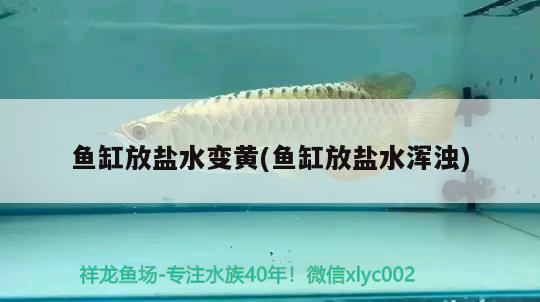 魚缸放鹽水變黃(魚缸放鹽水渾濁) 南美異型魚