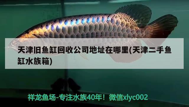 天津舊魚(yú)缸回收公司地址在哪里(天津二手魚(yú)缸水族箱) 魚(yú)缸/水族箱