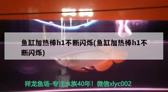 魚(yú)缸加熱棒h1不斷閃爍(魚(yú)缸加熱棒h1不斷閃爍) 祥龍金禾金龍魚(yú)