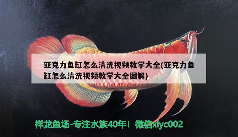 亞克力魚缸怎么清洗視頻教學(xué)大全(亞克力魚缸怎么清洗視頻教學(xué)大全圖解)