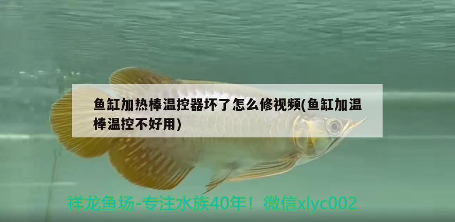 魚缸加熱棒溫控器壞了怎么修視頻(魚缸加溫棒溫控不好用)