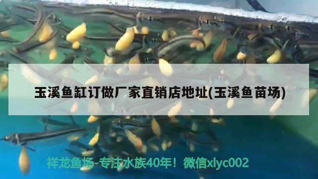 玉溪魚缸訂做廠家直銷店地址(玉溪魚苗場)