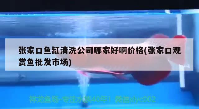 張家口魚缸清洗公司哪家好啊價格(張家口觀賞魚批發(fā)市場)