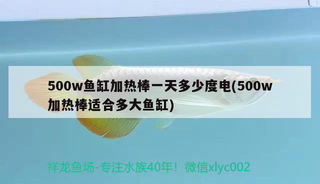 500w魚(yú)缸加熱棒一天多少度電(500w加熱棒適合多大魚(yú)缸)