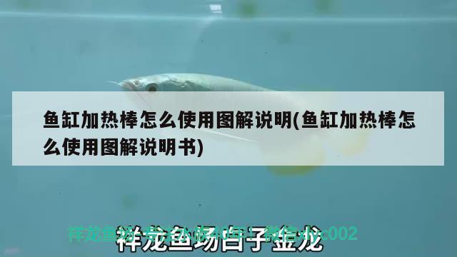 魚缸加熱棒怎么使用圖解說明(魚缸加熱棒怎么使用圖解說明書) 玫瑰銀版魚