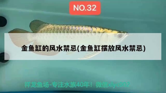 金魚缸的風水禁忌(金魚缸擺放風水禁忌) 魚缸風水