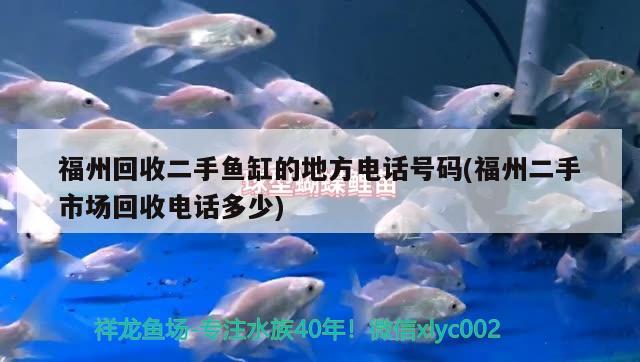 福州回收二手魚缸的地方電話號(hào)碼(福州二手市場(chǎng)回收電話多少)