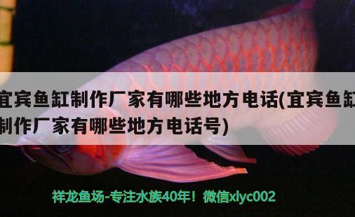 宜賓魚缸制作廠家有哪些地方電話(宜賓魚缸制作廠家有哪些地方電話號)