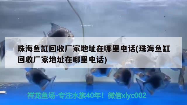 珠海魚缸回收廠家地址在哪里電話(珠海魚缸回收廠家地址在哪里電話) 過濾設備