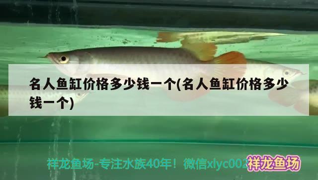 名人魚(yú)缸價(jià)格多少錢(qián)一個(gè)(名人魚(yú)缸價(jià)格多少錢(qián)一個(gè))