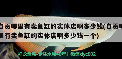 自貢哪里有賣魚缸的實(shí)體店啊多少錢(自貢哪里有賣魚缸的實(shí)體店啊多少錢一個(gè))