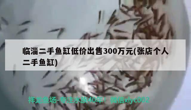 臨淄二手魚缸低價出售300萬元(張店個人二手魚缸)