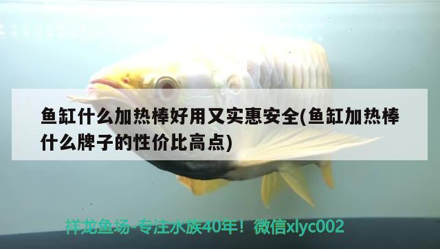 魚(yú)缸什么加熱棒好用又實(shí)惠安全(魚(yú)缸加熱棒什么牌子的性?xún)r(jià)比高點(diǎn)) 七彩神仙魚(yú) 第2張