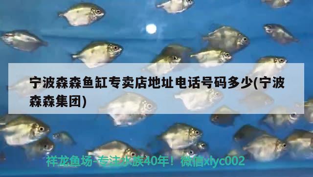 寧波森森魚缸專賣店地址電話號(hào)碼多少(寧波森森集團(tuán))