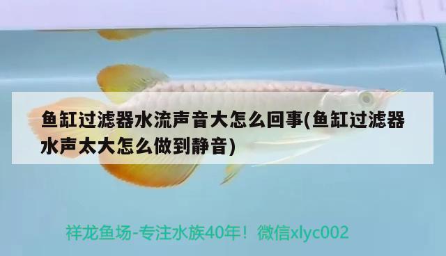 魚缸過濾器水流聲音大怎么回事(魚缸過濾器水聲太大怎么做到靜音) 魚缸水質(zhì)穩(wěn)定劑