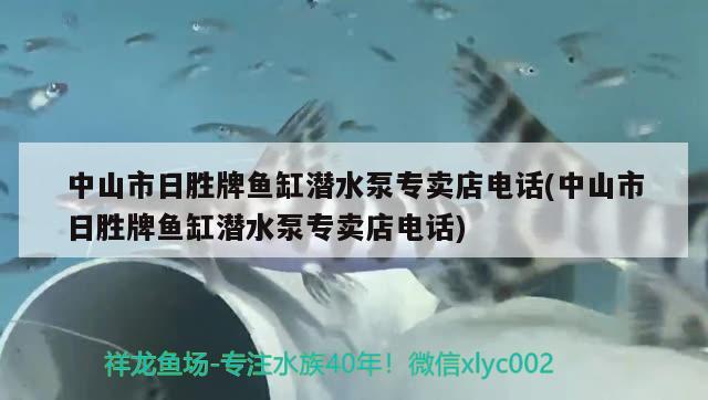 中山市日勝牌魚缸潛水泵專賣店電話(中山市日勝牌魚缸潛水泵專賣店電話)