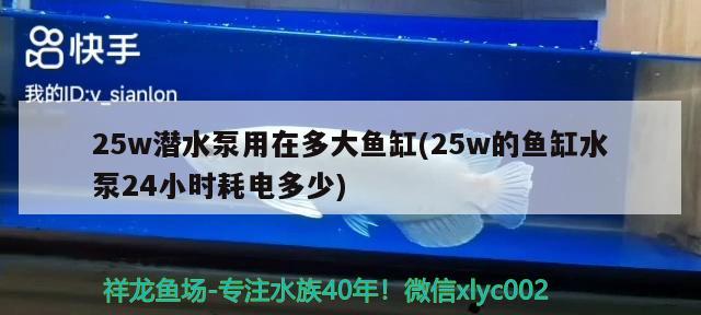 25w潛水泵用在多大魚缸(25w的魚缸水泵24小時(shí)耗電多少)