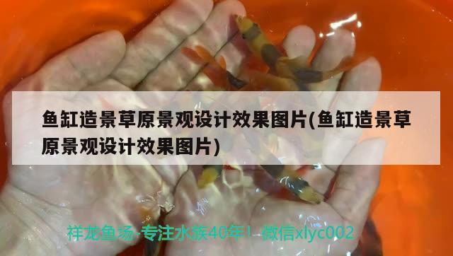 魚缸造景草原景觀設計效果圖片(魚缸造景草原景觀設計效果圖片) 廣州景觀設計