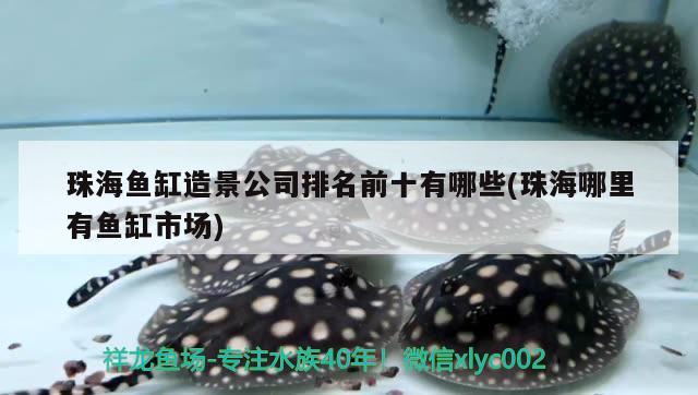 珠海魚(yú)缸造景公司排名前十有哪些(珠海哪里有魚(yú)缸市場(chǎng)) 和尚魚(yú)