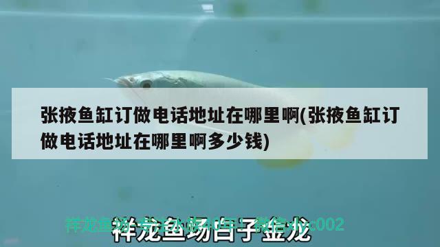 張掖魚缸訂做電話地址在哪里啊(張掖魚缸訂做電話地址在哪里啊多少錢)