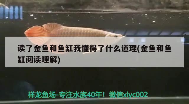 讀了金魚和魚缸我懂得了什么道理(金魚和魚缸閱讀理解)