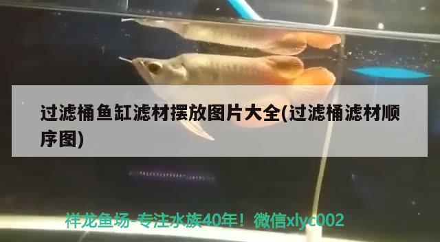 過濾桶魚缸濾材擺放圖片大全(過濾桶濾材順序圖)