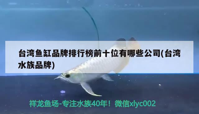 臺灣魚缸品牌排行榜前十位有哪些公司(臺灣水族品牌) 水族品牌