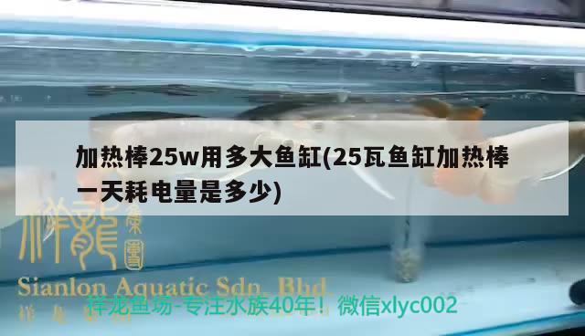 加熱棒25w用多大魚缸(25瓦魚缸加熱棒一天耗電量是多少) 進口元寶鳳凰魚