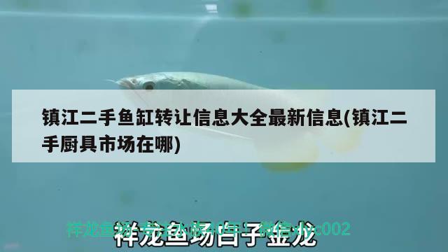 鎮(zhèn)江二手魚缸轉(zhuǎn)讓信息大全最新信息(鎮(zhèn)江二手廚具市場在哪) 星點金龍魚