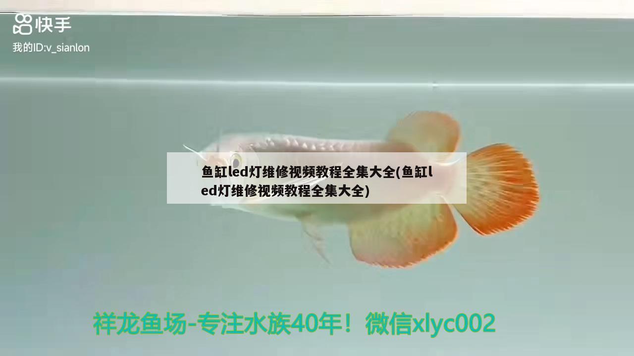 魚(yú)缸led燈維修視頻教程全集大全(魚(yú)缸led燈維修視頻教程全集大全)