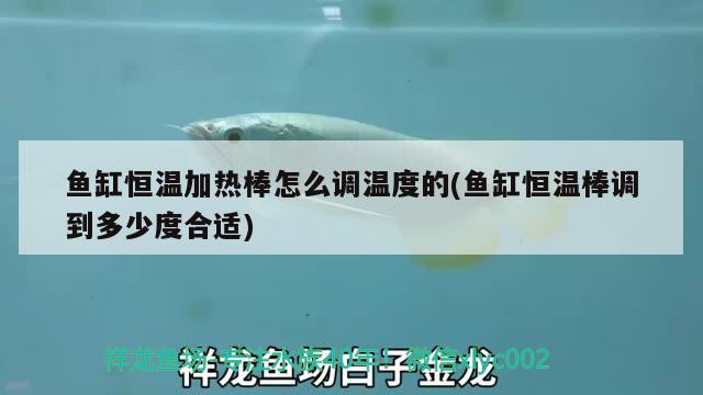 魚缸恒溫加熱棒怎么調(diào)溫度的(魚缸恒溫棒調(diào)到多少度合適) 沖氧泵