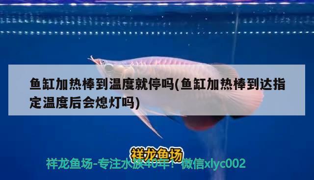 魚缸加熱棒到溫度就停嗎(魚缸加熱棒到達指定溫度后會熄燈嗎)