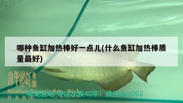 哪種魚缸加熱棒好一點(diǎn)兒(什么魚缸加熱棒質(zhì)量最好)