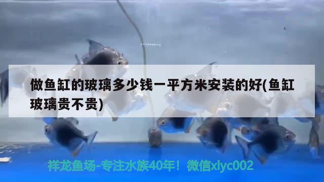 做魚缸的玻璃多少錢一平方米安裝的好(魚缸玻璃貴不貴)