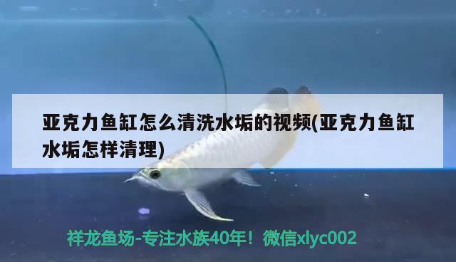 亞克力魚缸怎么清洗水垢的視頻(亞克力魚缸水垢怎樣清理)