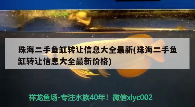 珠海二手魚缸轉讓信息大全最新(珠海二手魚缸轉讓信息大全最新價格) 粗線銀版魚