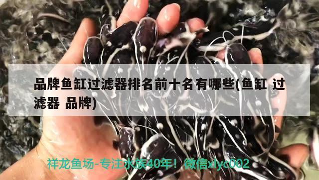 品牌魚缸過濾器排名前十名有哪些(魚缸過濾器品牌) 養(yǎng)魚的好處