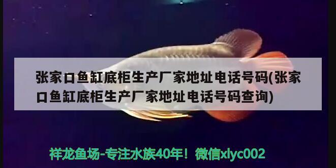 張家口魚缸底柜生產(chǎn)廠家地址電話號碼(張家口魚缸底柜生產(chǎn)廠家地址電話號碼查詢)