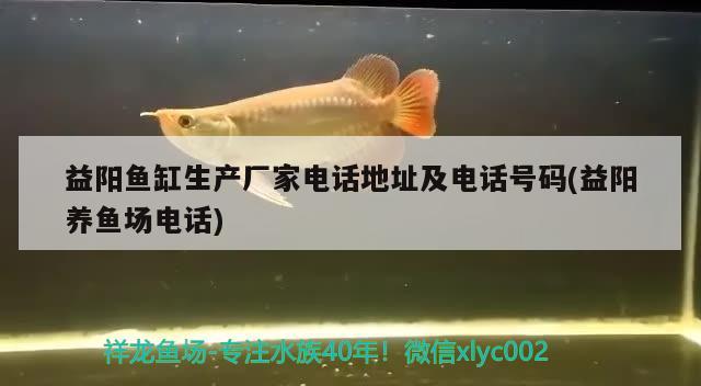 益陽魚缸生產(chǎn)廠家電話地址及電話號碼(益陽養(yǎng)魚場電話)