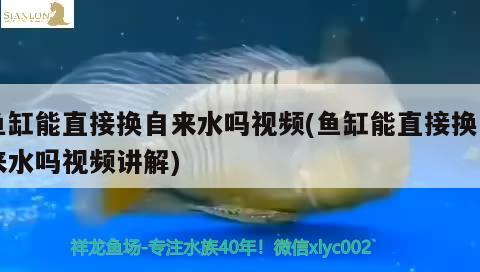 魚缸能直接換自來水嗎視頻(魚缸能直接換自來水嗎視頻講解)