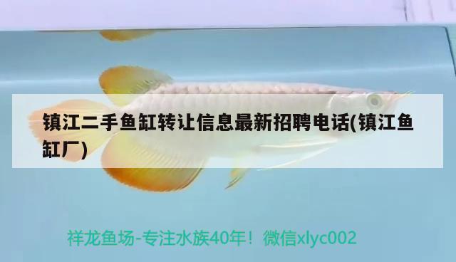 鎮(zhèn)江二手魚缸轉(zhuǎn)讓信息最新招聘電話(鎮(zhèn)江魚缸廠)