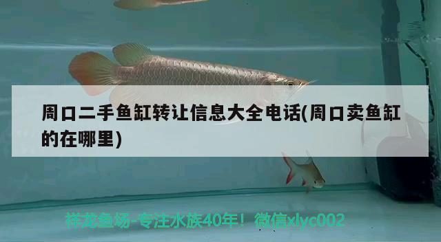 周口二手魚(yú)缸轉(zhuǎn)讓信息大全電話(周口賣(mài)魚(yú)缸的在哪里)