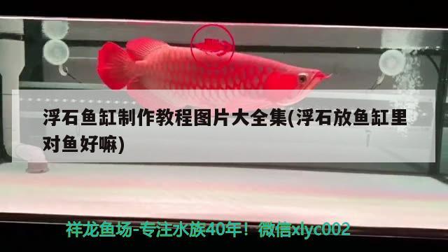 浮石魚(yú)缸制作教程圖片大全集(浮石放魚(yú)缸里對(duì)魚(yú)好嘛) 白子銀龍魚(yú)苗