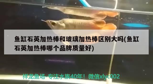 魚缸石英加熱棒和玻璃加熱棒區(qū)別大嗎(魚缸石英加熱棒哪個品牌質量好) 黃金貓魚百科